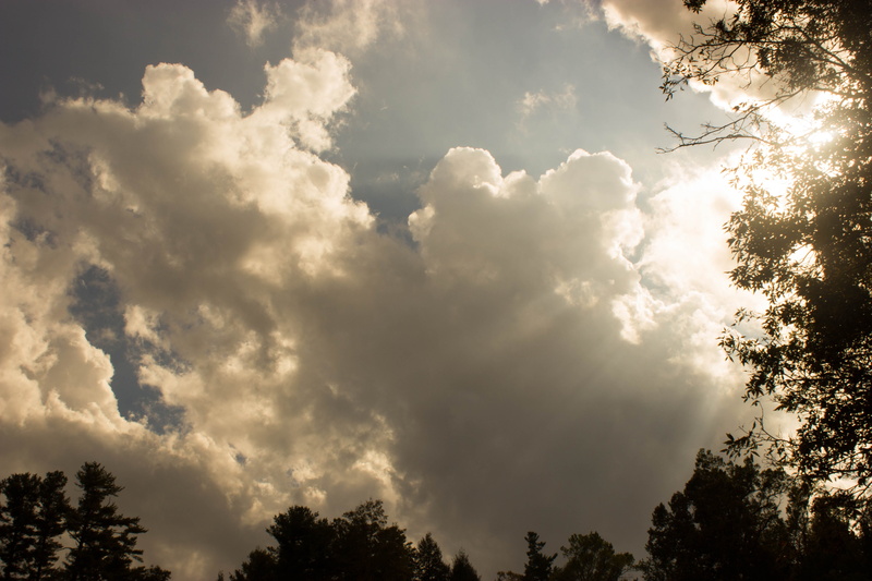 silhouette, outdoors, tranquil scene, treetop, non-urban scene, 5K, no people, meteorology, scenics - nature, cloud - sky, flat rock, nature, clouds, beauty in nature