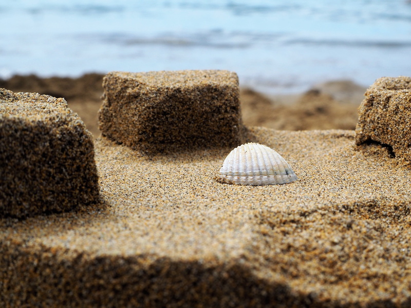 sunlight, by the sea, nature, water, background, outdoors, beach sand, 2K, sand beach, seashell, wave, motion, beach, selective focus, pebble, tranquility