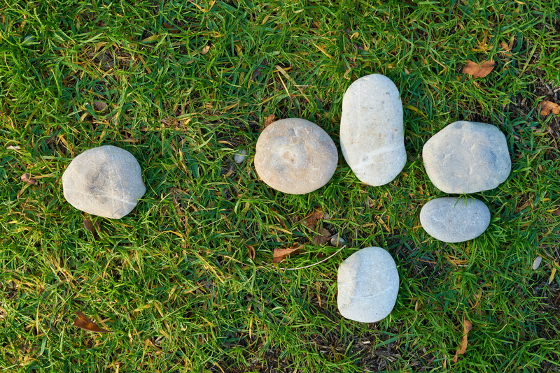 pebbles, growth, green color, pattern, stones, garden, season, rock, stone - object, park, texture, lawn, day, mushroom, outdoors, no people, high angle view