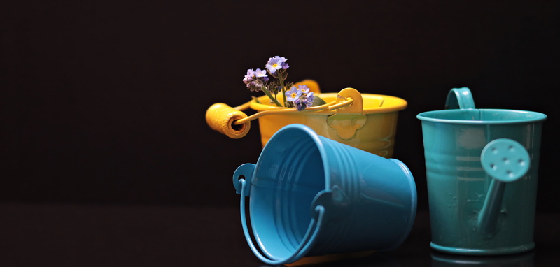 flower, inflatable, yellow, no people, toy car, spring, wood - material, yellow bucket, representation, greeting, wheel, watering can, musical instrument