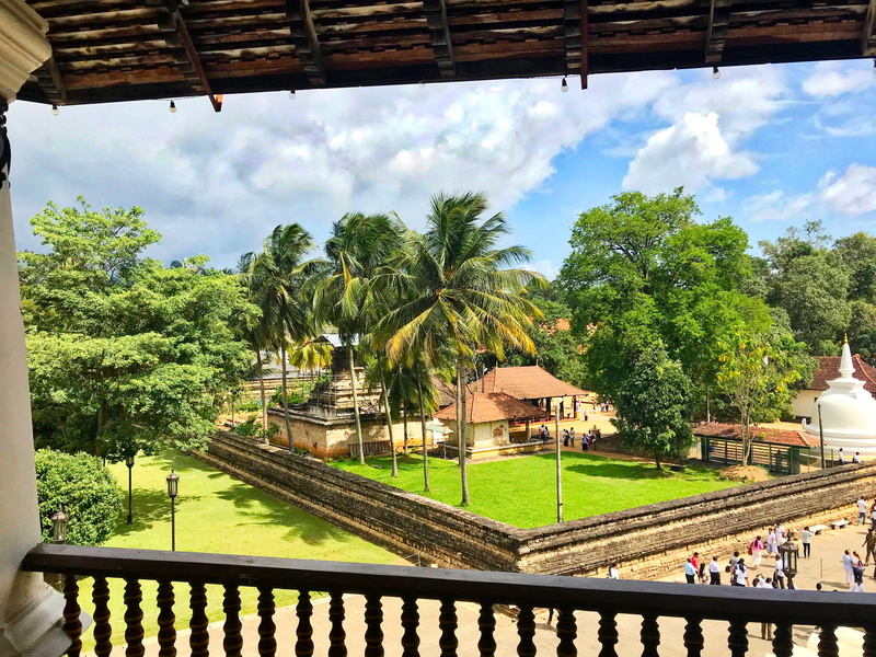 nature, green color, architecture, day, railing, tree, built structure, tropical climate, sri lanka, garden, sky, formal garden, outdoors, 4K, water, palm tree