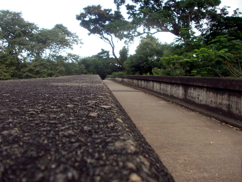 footpath, tranquil scene, aged, no people, Bridge, Kandy, masonry, growth, stonework, transportation, plant, stone mason, vanishing point, structure, direction