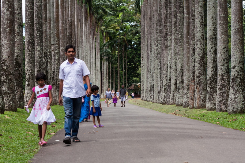 people, 4K, outdoors, kandy, leisure activity, sri lanka, tree, direction, girls, men, daughter, day, park, lifestyles, positive emotion, full length