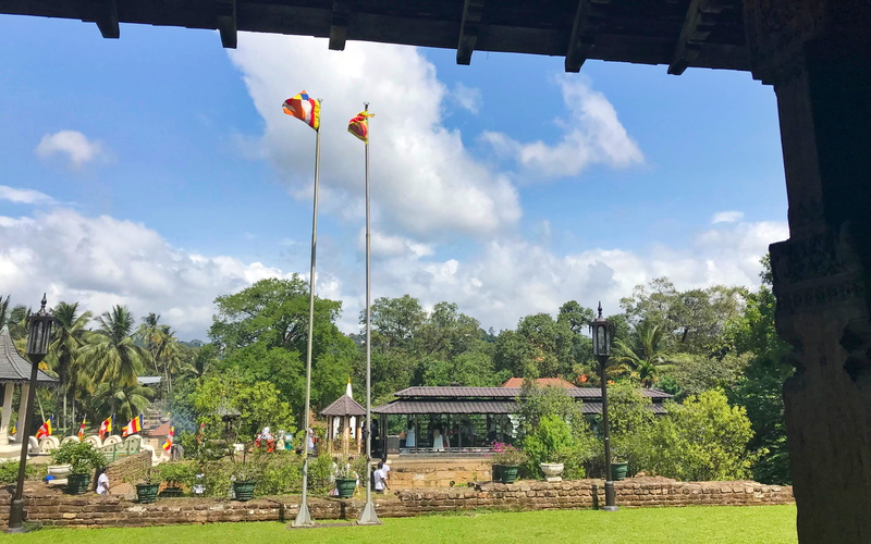 beauty in nature, men, nature, rural scene, sky, environment, day, people, cloud - sky, tree, flag, real people, audience hall, outdoors, sri lanka, 4K