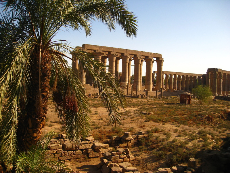 Africa, plant, nature, tropical climate, history, day, the past, 2K, Temple, palm tree, tourism, Kings, travel destinations, nile, old ruin, sky, ruined