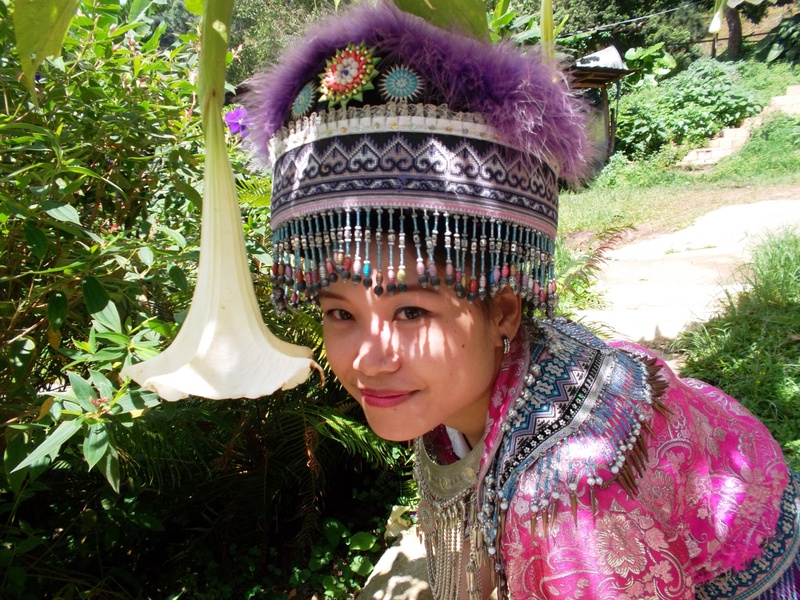 looking at camera, purple, chiangmai, one person, costumes, young women, datura, real people, girl, thailand, hairstyle, women, cute, standing, traditional