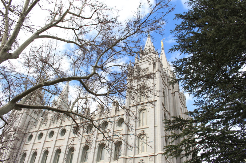 lake, architecture, travel destinations, religion, downtown, temple, day, destinations, lds, spirituality, tree, belief, city, branch, sky, outdoors, jesus