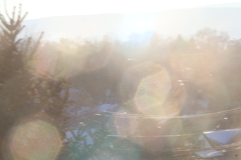 exposure, close-up, tree, texture, fog, plant, long exposure, brightly lit, bright, window, nature, sunbeam, trees, foggy, streaming, 5K, beauty in nature