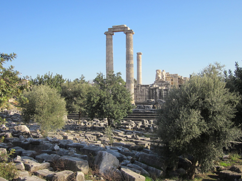 Temple, Apollo, historical, historic, culture, tree, monument, travel, ancient history, apollo temple, Landmark, nature, ancient civilization, old ruin