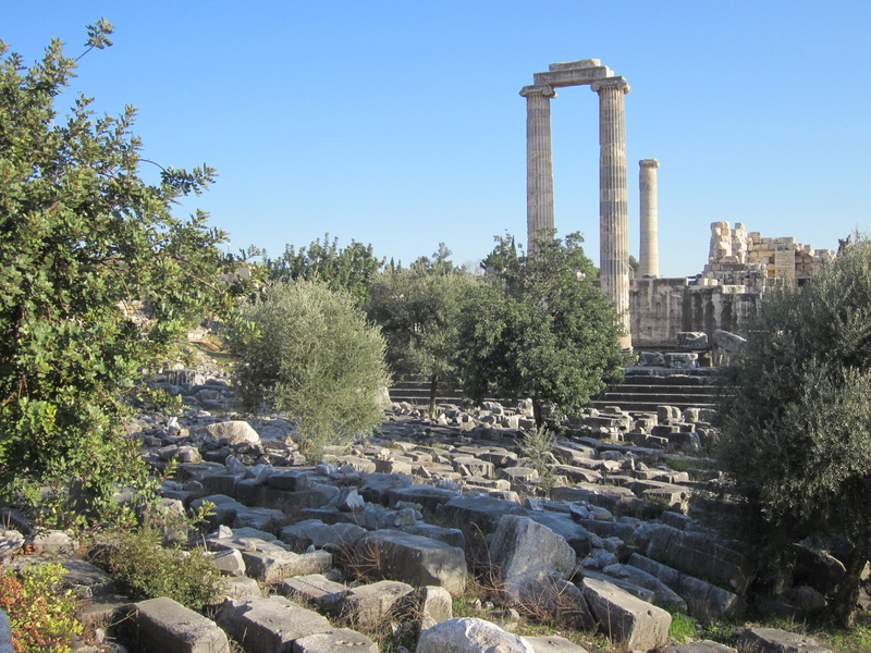 didyma, travel destinations, greece, tourism, roman Forum, apollo temple, stone Material, monument, nature, architectural Column, ruined, classical Greek