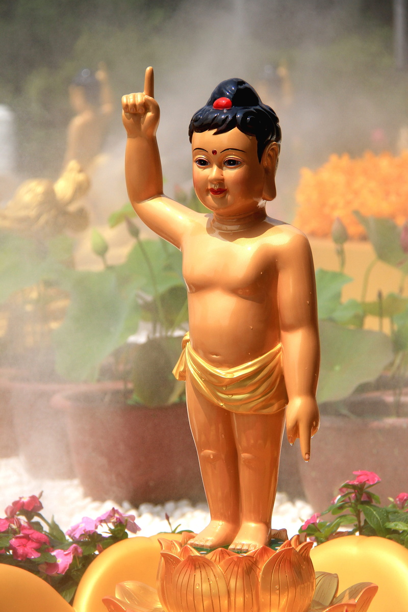 one person, prince bath buddha, spirituality, belief, representation, nature, childhood, front view, plant, figurine, art and craft, Buddha, idol, shirtless