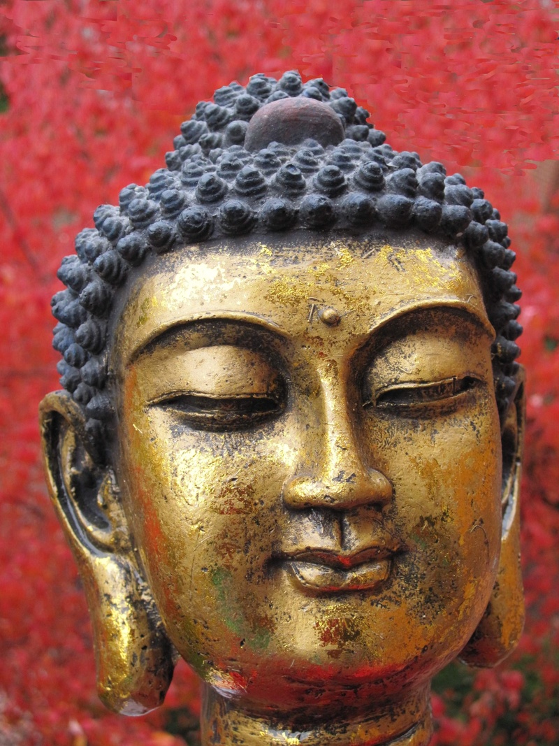 belief, harmony, architecture, no people, close, head, craft, statue, buddhism, 2K, representation, body part, place of worship, siddhartha gautama, transcendence