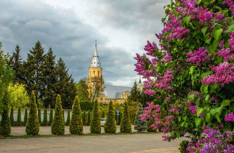 flowering plant, cloud - sky, spire, spacer, colorful, tower, violet, church, outdoors, no people, colored, religion, park, beauty, sky, building exterior
