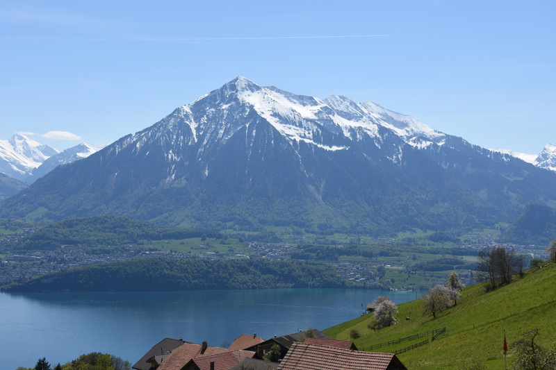plant, snowcapped mountain, beauty in nature, mountain, sneezing, tranquility, cold temperature, nature, snow, day, no people, scenics - nature, lake, switzerland