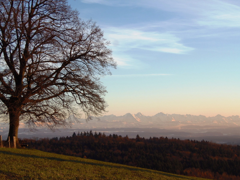 land, outdoors, forest, autumn, mountain, no people, cloud - sky, beauty in nature, environment, Mittelland, landscape, sunset, rural Scene, tranquil scene