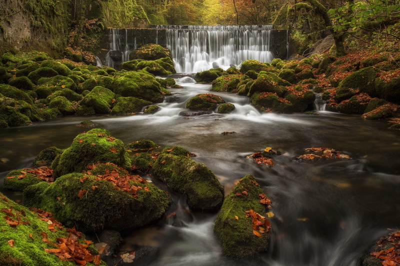 moss, leaves, switzerland, autumn, cascade, river, Canton of Neuchatel, arese, neuchâtel, Areuse River, waterfall, the river Arese, Val-de-Travers, 1080P
