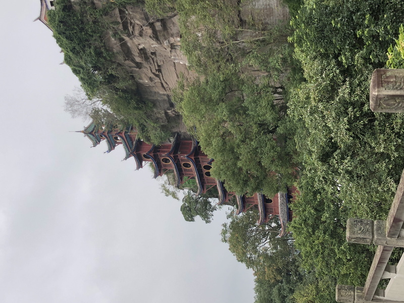 shrine, slope, steeple, green color, building exterior, history, day, China, belief, growth, worship, architecture, the past, 4K, zhongxian, plant, tower