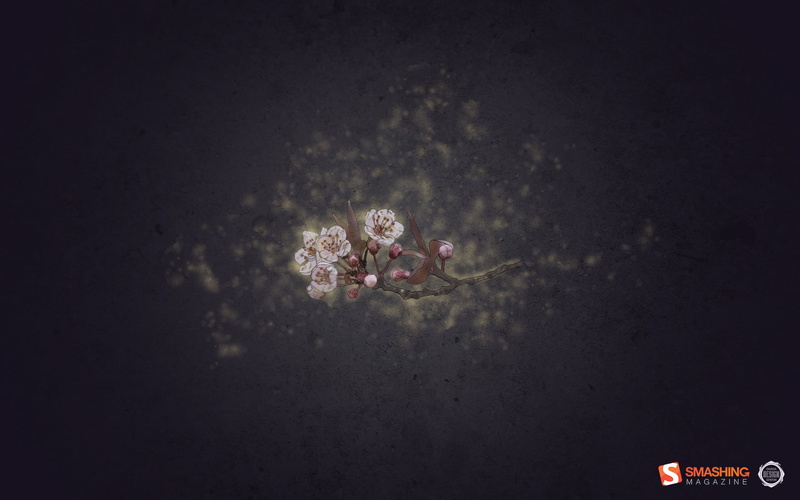 petaled, flower, white, 1080P, cherry, magic, artistic, blossom