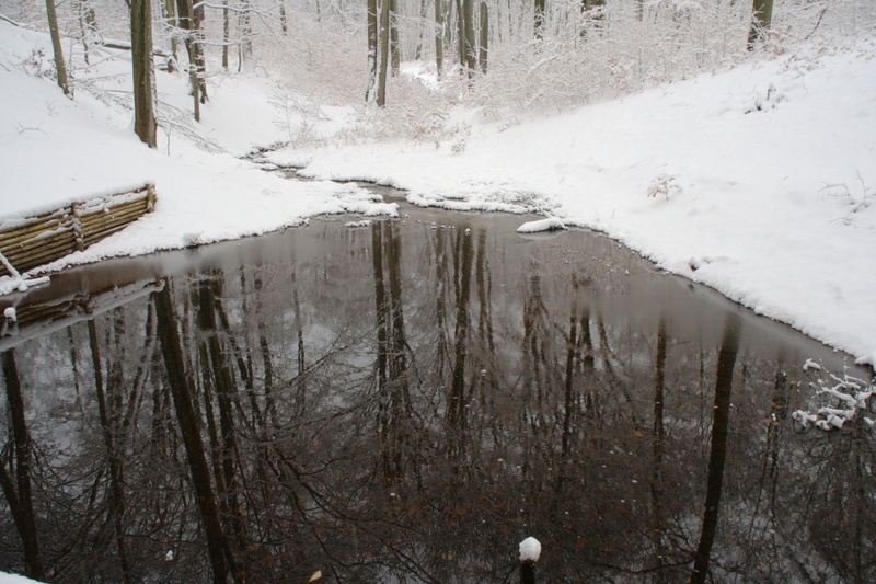 pond, land, day, frost, outdoors, tranquility, cold - Temperature, high angle view, cold temperature, non-urban scene, frozen, nature, scenics - nature