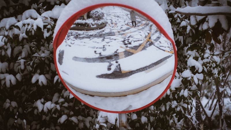 dessert, food, plant, person, fisheye, close-up, nature, mirror, tree, high angle view, outdoors, birthday cake, snow, sport, cake, geometric shape, sled