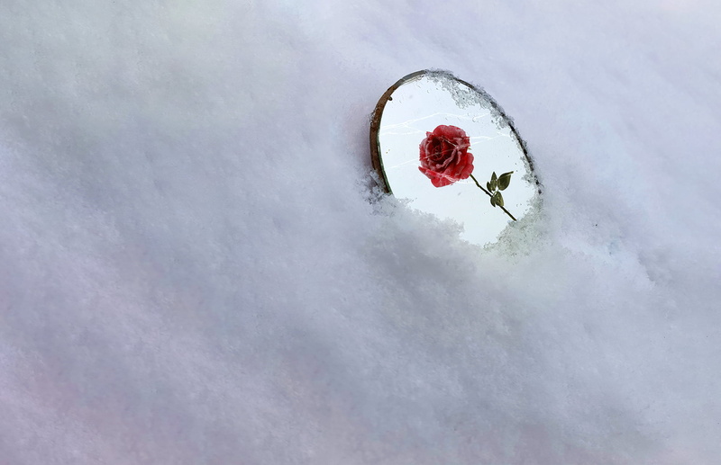 photography, mirror, snow, rose, 1080P, simple, red, white