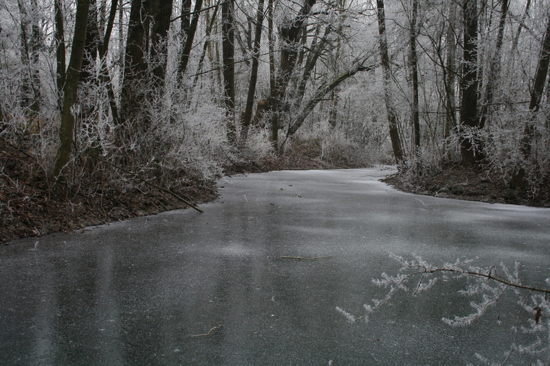 rest, frozen pond, beauty in nature, outdoors, water, winter mood, icy, mysticism, view, frozen, snow magic, frosty, forest, land, tree, natural phenomenon