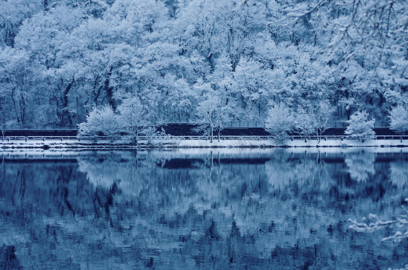 landscape, water, white, threes, tranquil scene, winter, frozen, daytime, weather, bridge, scenery, lake, scenics - nature, waterfront, building, beauty in nature