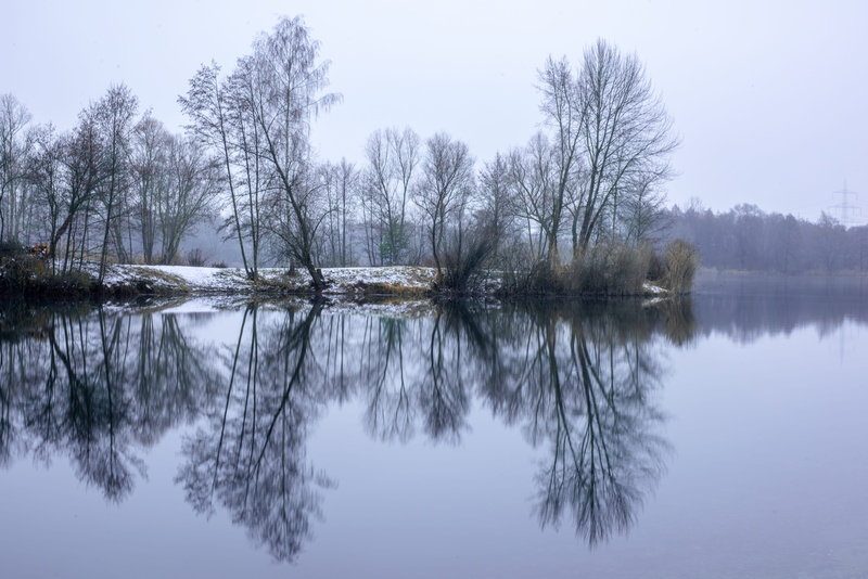 reflection, plant, 5K, lake, day, idyllic, waters, non-urban scene, standing water, waterfront, tree, landscape, tranquil scene, fog, reflection lake