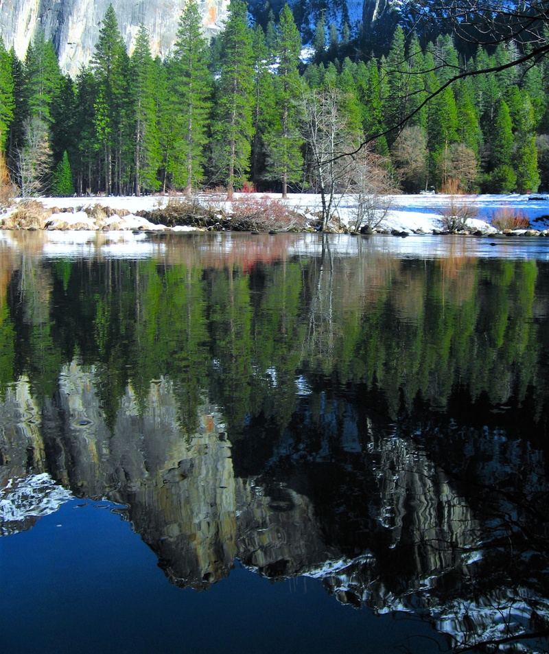 tree, valley, forest, arboretum, snowmelt, standing water, tranquility, no people, branch, coniferous tree, woods, sky, River, upside-down, snow, surface of the river