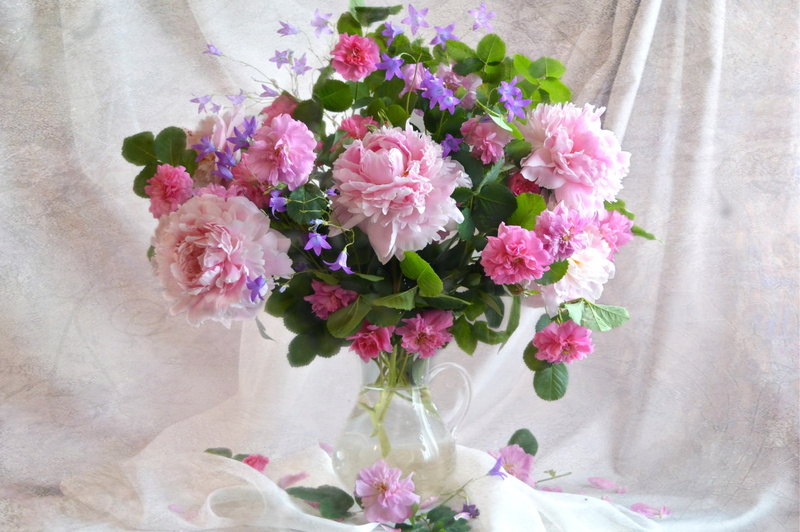 flowering plant, roses, summer, pink, petal, flower arrangement, day, romance, glass, texture, high angle view, vulnerability, tenderness, bunch of flowers