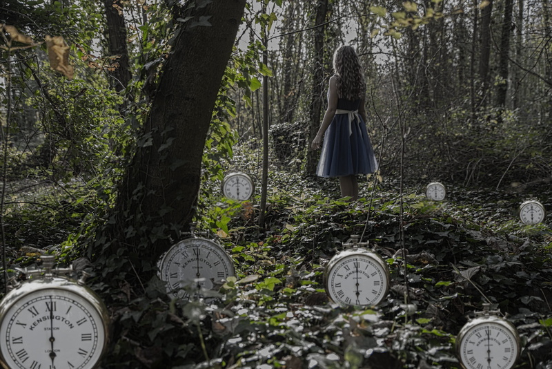 trunk, tree trunk, time, growth, outdoors, woods, alice, no people, disney, wonderland, forest, mental health, light, transportation, blue, old, clock