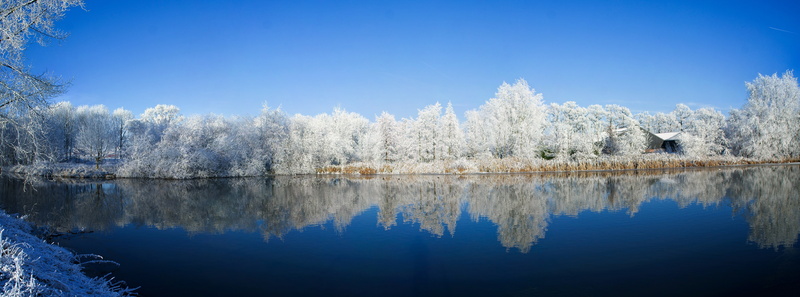 Rhijnauwen, White, coniferous tree, pine tree, Utrecht, Frozen, Amazing, Winter, tranquility, 8K, Kromme Rijn, Scene, Blue, Heaven On Earth, lake, clear sky