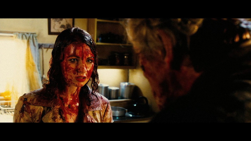 thriller, shotgun, hobo, 1080P, dark, horror, blood, comedy, action