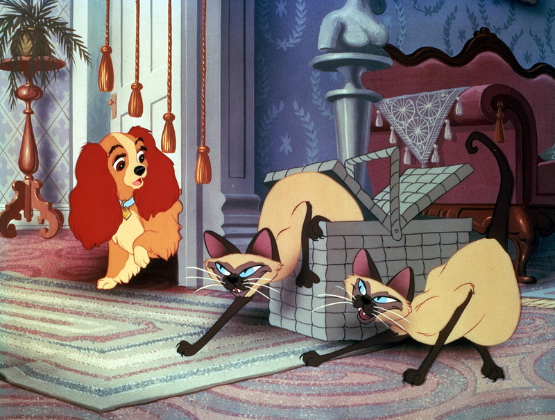 1080P, lady, disney, tramp