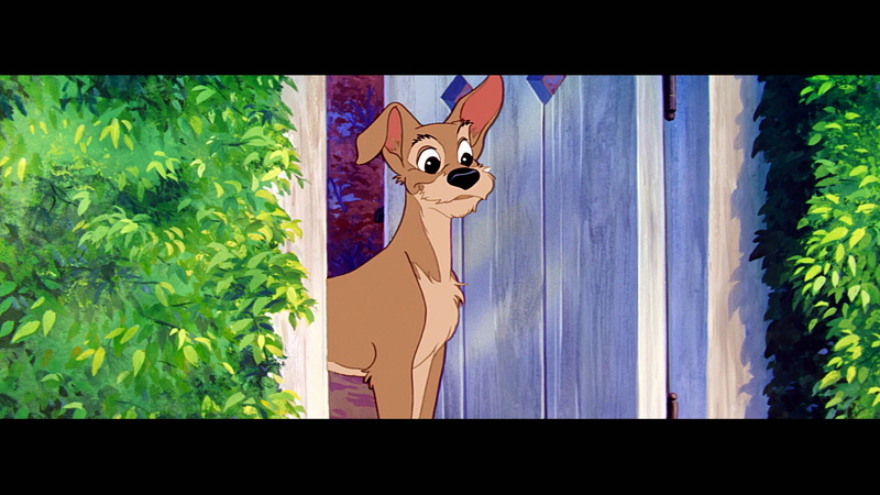 lady, tramp, 1080P, disney