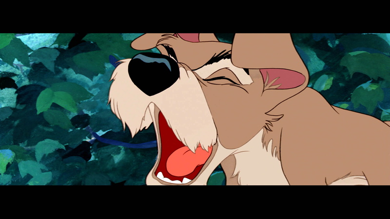 1080P, disney, tramp, lady