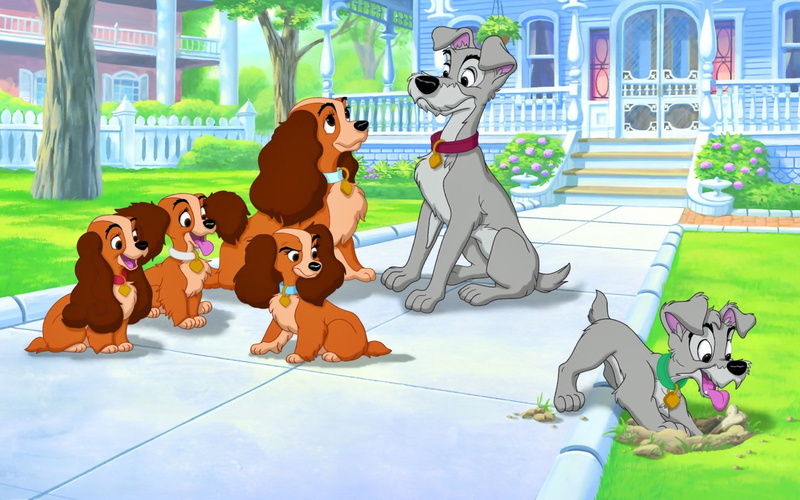 lady and the tramp, 1080P