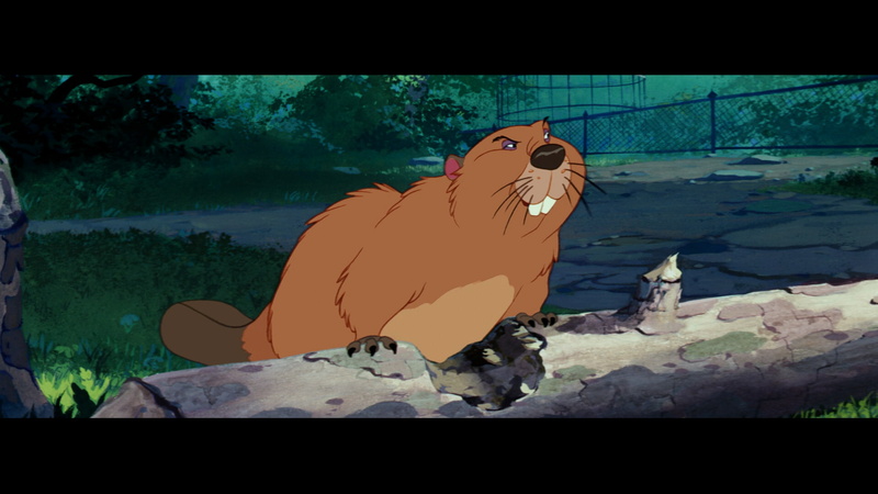 disney, 1080P, tramp, lady