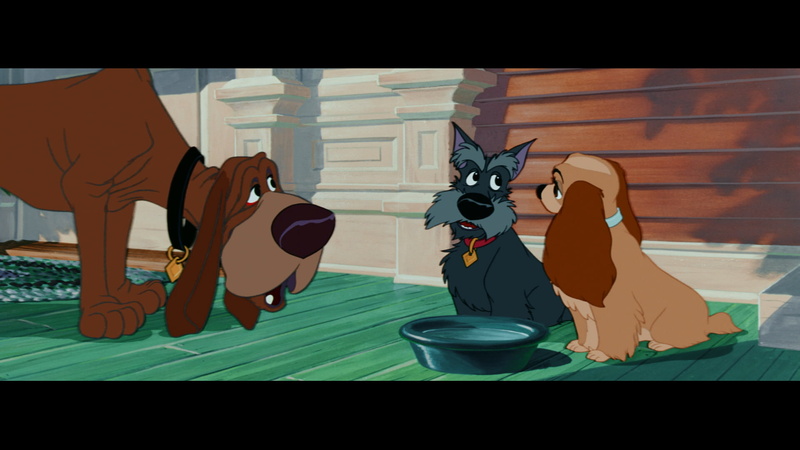 tramp, lady, disney, 1080P