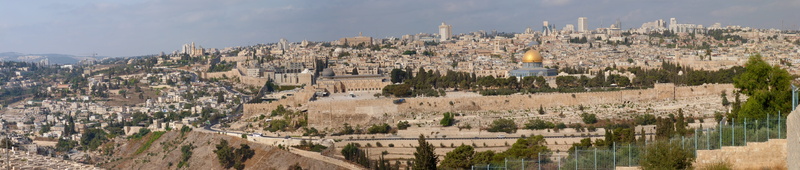 view, place of worship, tree, plant, panorama, government, tourism, architecture, desert, israel, the past, building, sky, built structure, building exterior