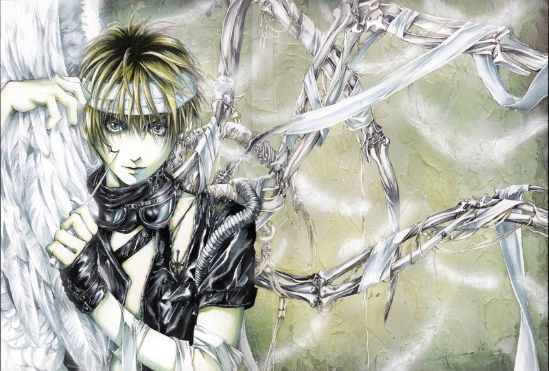 1080P, angel sanctuary