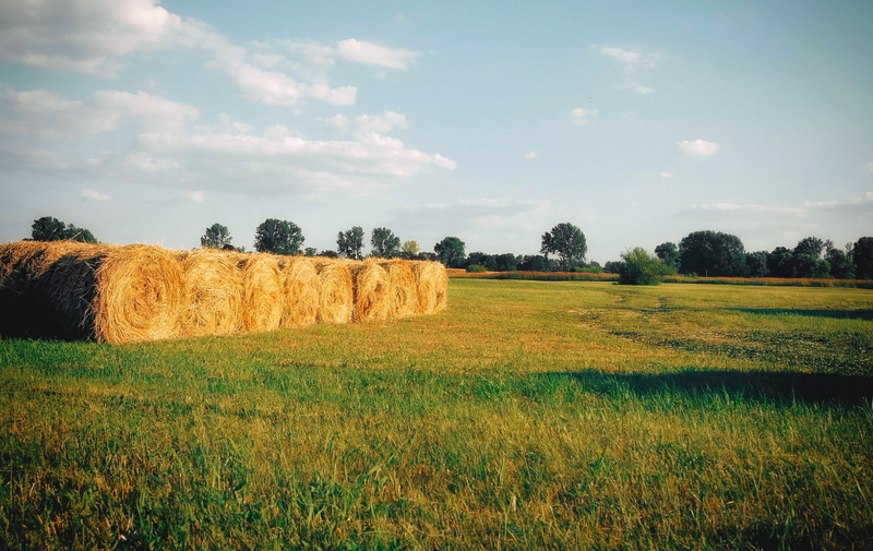tranquility, village, a bale of straw, stubble, beauty in nature, agriculture, scenics - nature, the stage, straw, straw bales, grass, landscape, plant