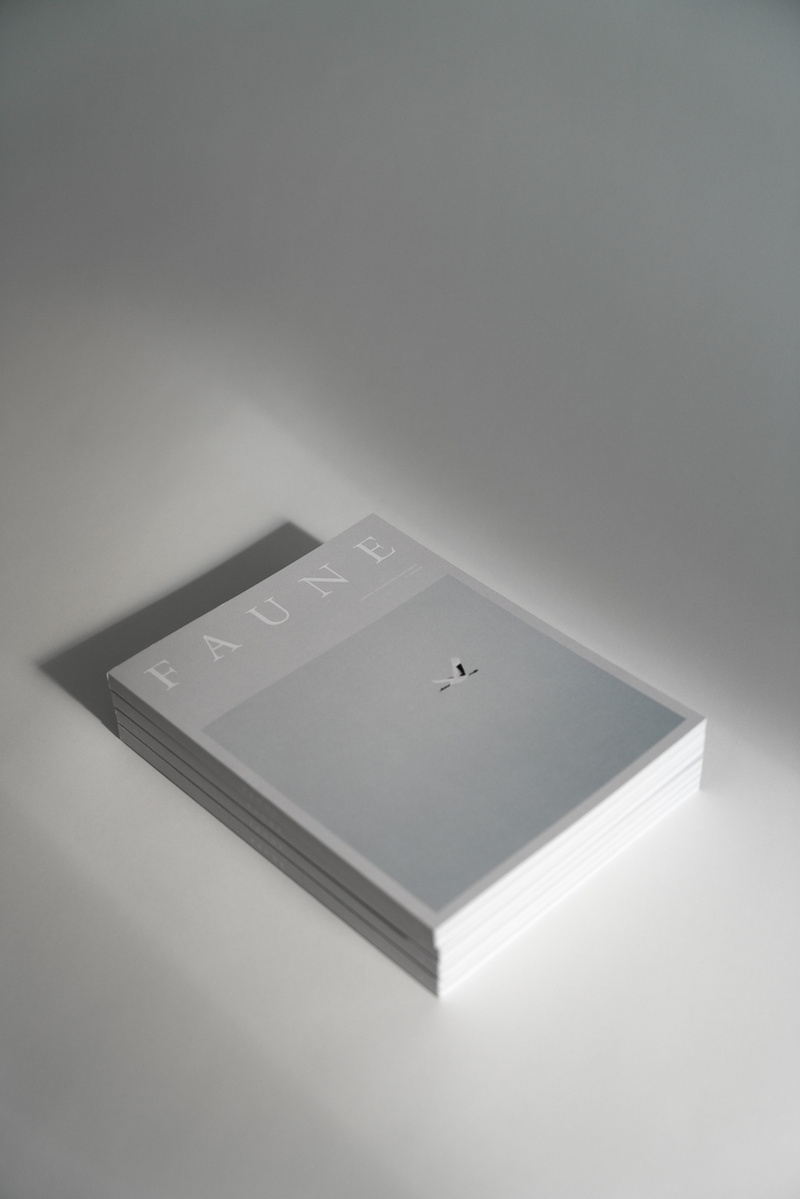 high angle view, desk, cards, white background, open, close-up, studio shot, technology, 8K, table, shadow, connection, simplicity, single object, cut out