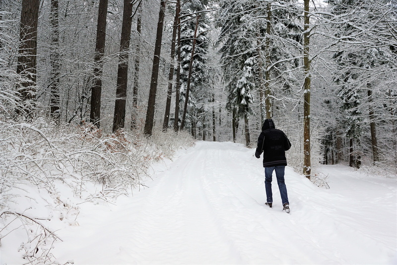 europe, snowdrift, cold, holidays, fashion, relaxation, branch, time out, nature, season, real people, blizzard, tuttlingen, scenic, path, jacket, bush
