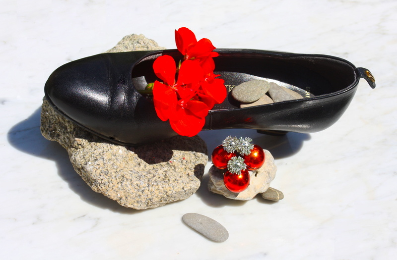 flower head, flower, cherry, plant, cloth, going out, love, pumps, rose - flower, freshness, rose, red, 2K, lipstick, high angle view, rock, beauty in nature