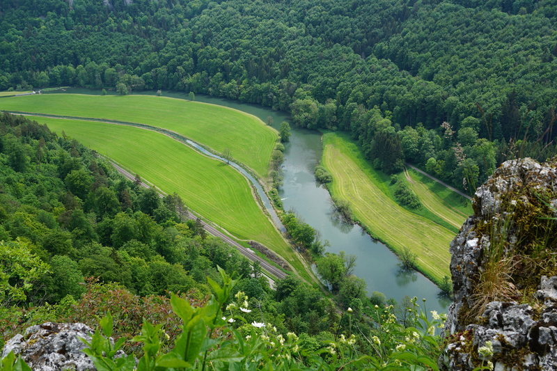lush foliage, environment, land, green color, scenics - nature, growth, high angle view, 5K, day, non-urban scene, outdoors, plant, water, sigmaringen