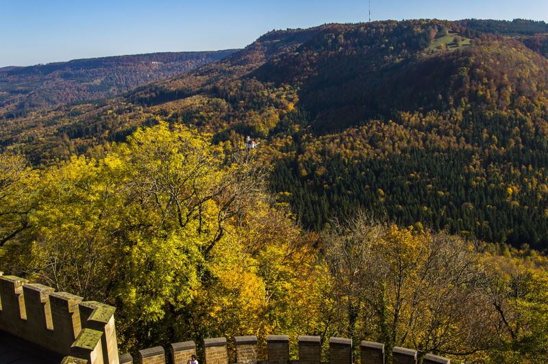 landscape, autumn, change, mountain, plant, view, viewpoint, land, architecture, vision, tranquil scene, 5K, wanderer, high angle view, outdoors, forest