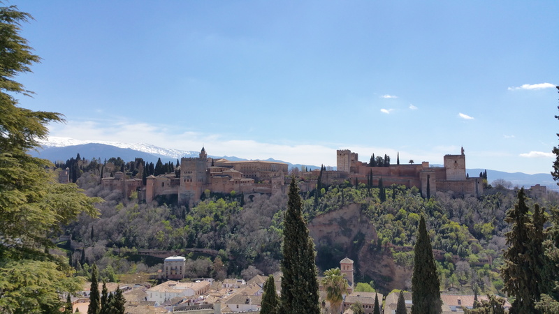 travel destinations, ancient, the past, tree, tourism, landmark, sky, nature, panorama, history, building exterior, architecture, granada, plant, cloud - sky