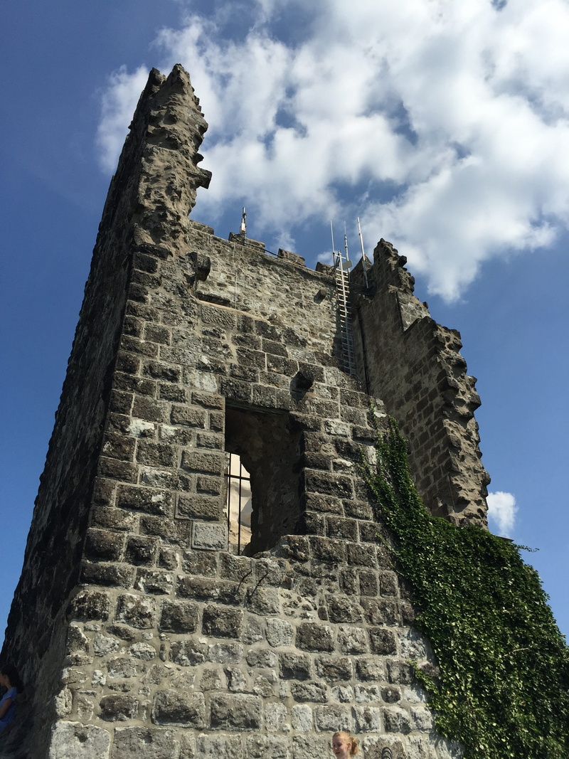 trutzig, defend, fortress, stone wall, knight, ancient, burgruine, building, wall, ruin, architecture, built structure, nature, weathered, day, ancient civilization