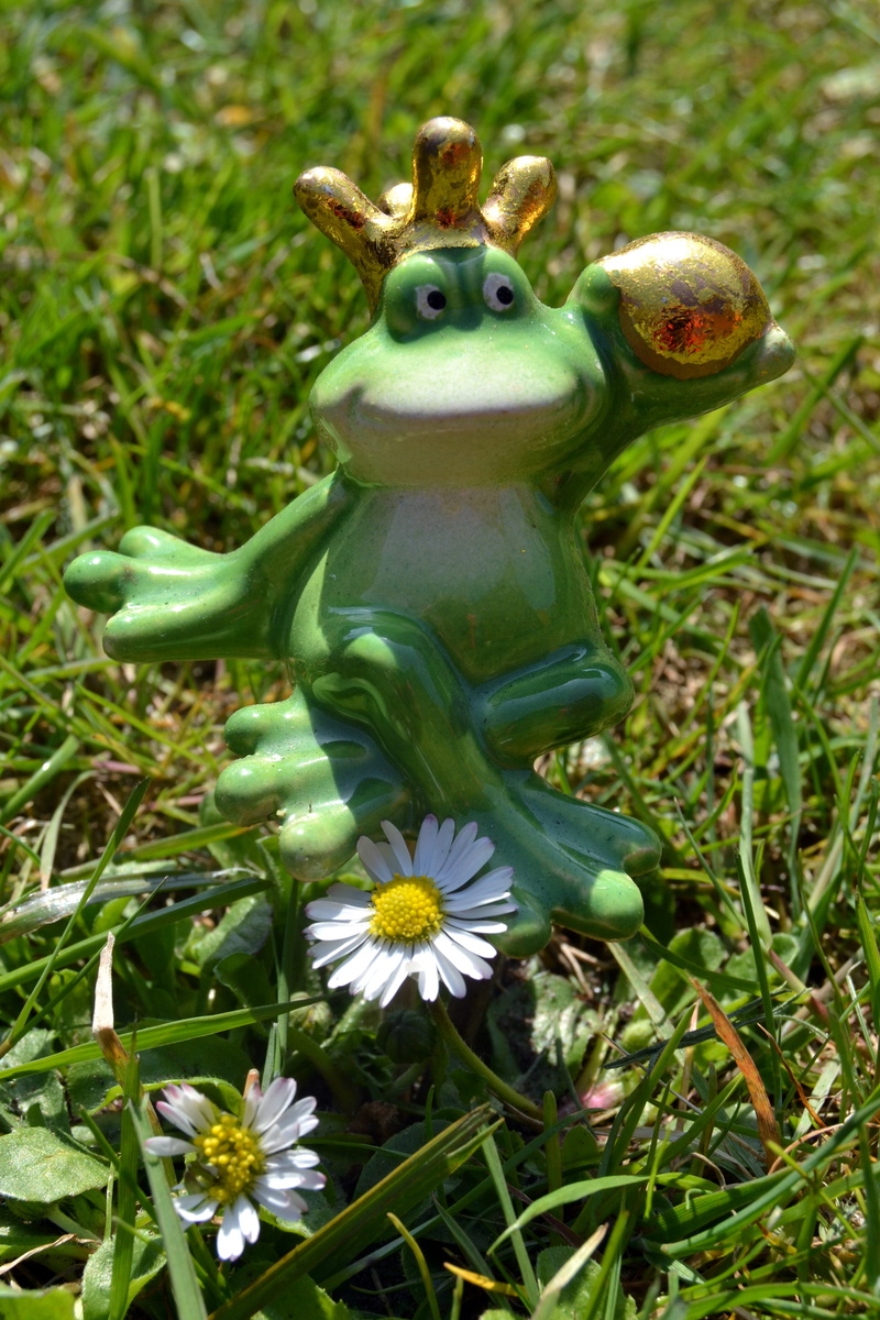 easter, flower, frog, representation, plant, Frog Prince, art and craft, animal, Fairytale, close-up, animal themes, growth, no people, day, green meadow